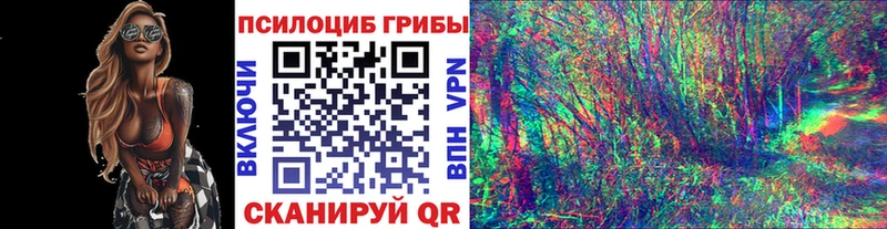 ссылка на мегу ССЫЛКА  хочу наркоту  Мамоново  Галлюциногенные грибы Psilocybe 
